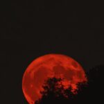 red-moon-eclipse-1
