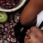 wine-harvest-exploitation