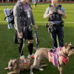 Georgian-police-repression-Tbilissi