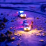 Halima-Ben-Ali-arrest-1