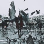 London-mosque-controversy-exclusion