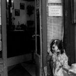 Sarkozy-prison-entrance-Paris