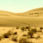 Saudi-Arabia-Riyadh-AI-technology