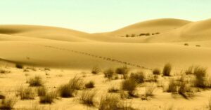 Illustration de L'Arabie Saoudite, nouvel eldorado de l'IA ou mirage coûteux ? Saudi-Arabia-Riyadh-AI-technology