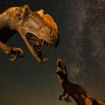 dinosaur-fossil-museum