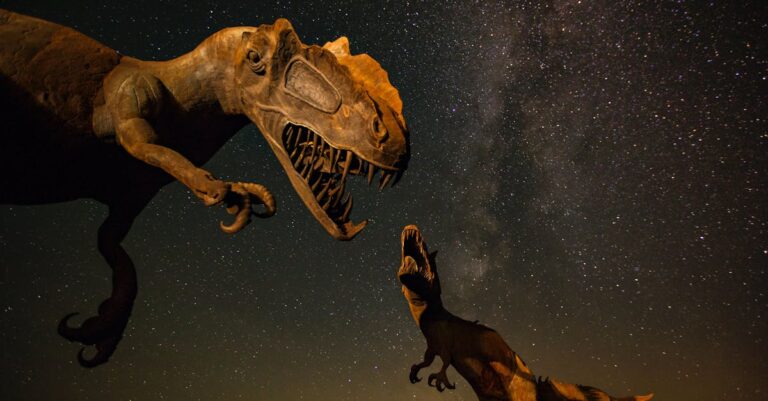 Illustration de Un crocodile jurassique dévoilé : une découverte qui interroge dinosaur-fossil-museum