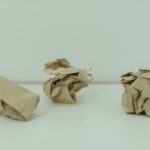 environmental-policy-failure