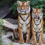 hurricane-hunters-aircraft-dangerous