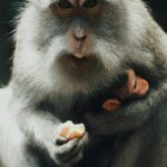 single-mother-struggling