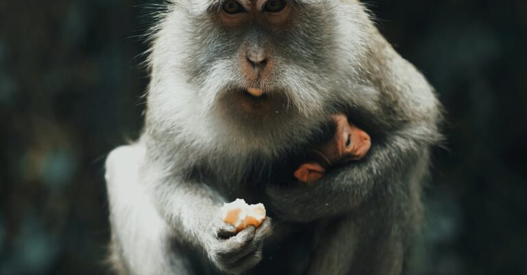 Illustration de Un amendement choc pour les familles : le scandale fiscal des pensions ! single-mother-struggling