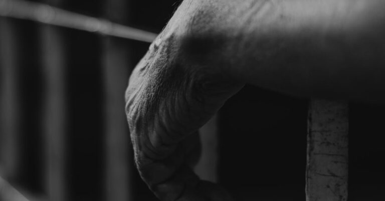 Bolsonaro-prison-Brazil