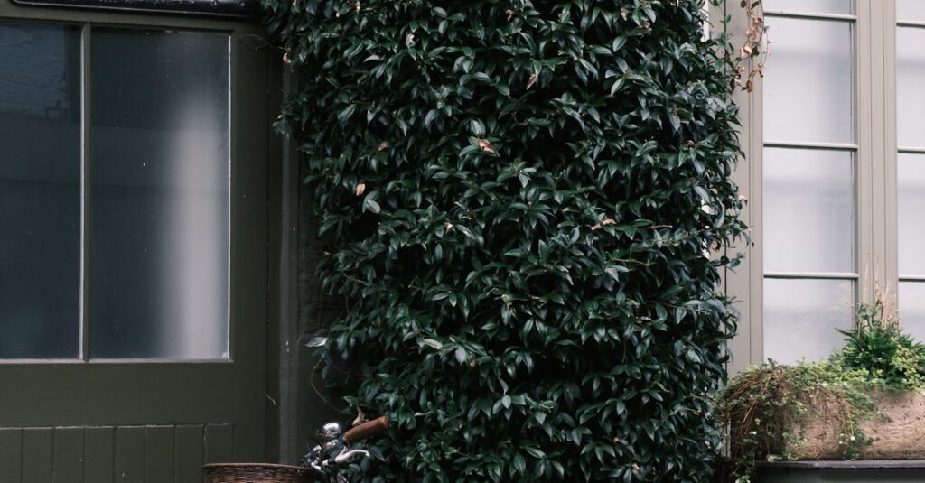 Illustration de Décès de Charles Coste : La triste fin d'un symbole des JO Cyclist-old-age