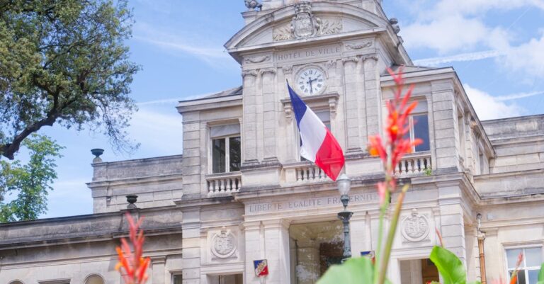 France-Algeria-flag-dispute
