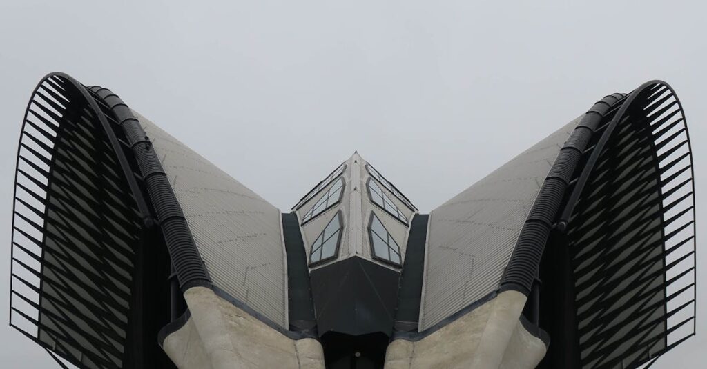 French-citizen-Caracas-airport