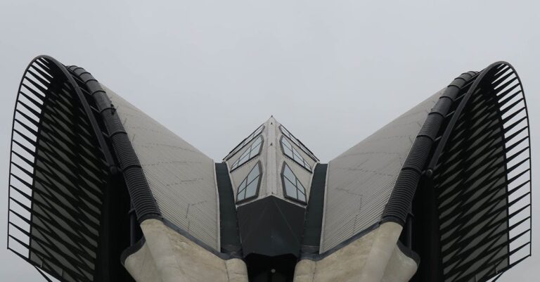 French-citizen-Caracas-airport