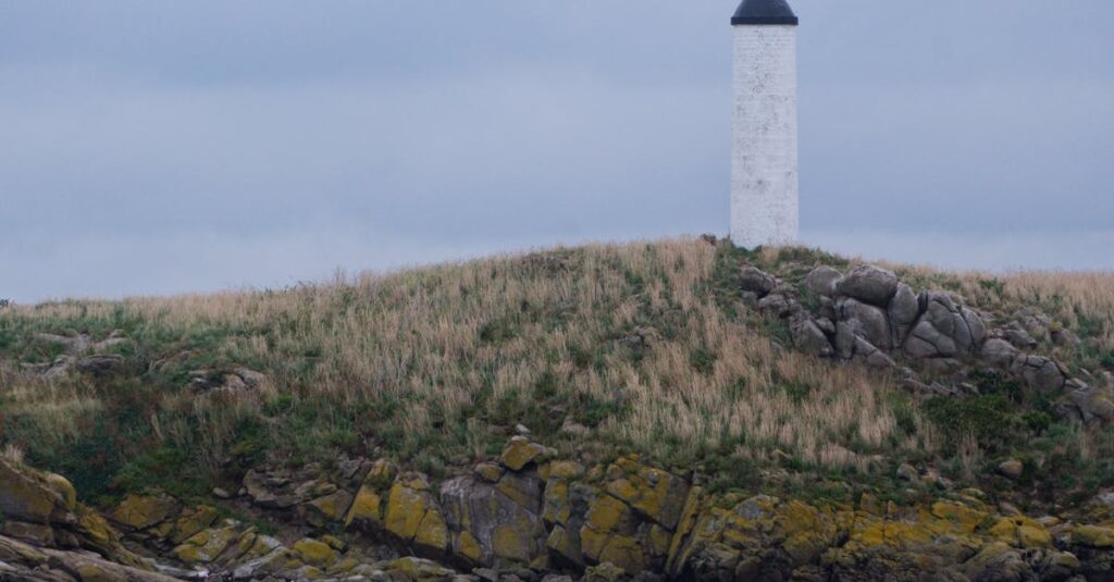 French-far-right-politician