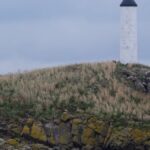 French-far-right-politician