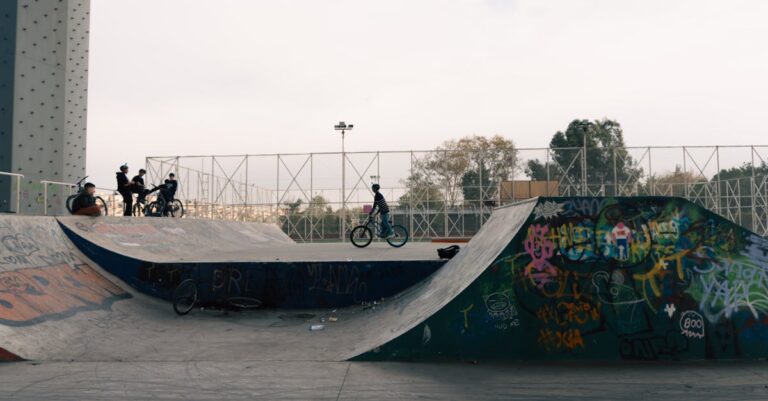 French-youth-abandoned-budget