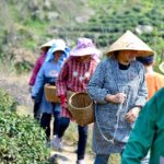 Macron-Mercosur-farmers