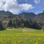 Macron-unpopularity-France