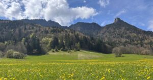 Macron-unpopularity-France