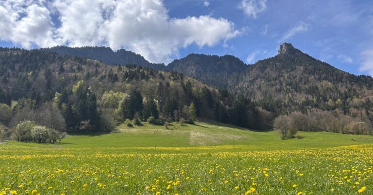 Macron-unpopularity-France