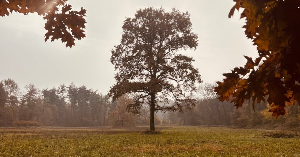 Illustration de Le PS isolé : La stratégie risquée d'Olivier Faure sème le chaos Olivier-Faure-isolated