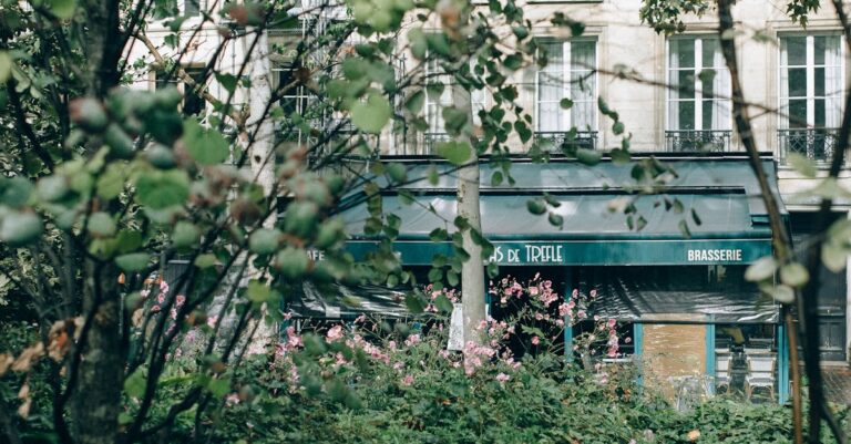 Paris-city-store-closing