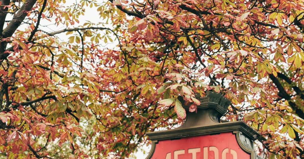 Paris-metro-disruption