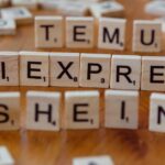 Shein-scandal-products