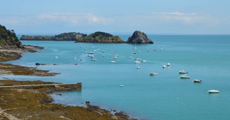 Illustration de L'UE paralysée : le fiasco de la régulation numérique face aux géants Thierry-Breton-frustrated-European-Commission