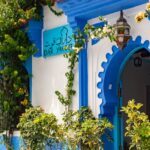 Trump-Al-Charaa-White-House