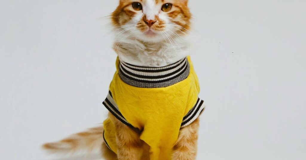 Venezuela-Maduro-cartel-designation