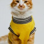 Venezuela-Maduro-cartel-designation