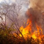 global-warming-climate-change