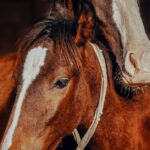 pharmacy-closing-rural