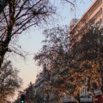 France-road-traffic-jam