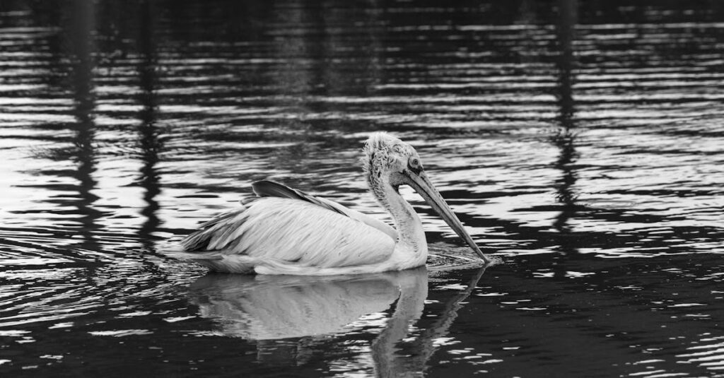 Hong-Kong-filmmaker-censorship