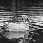 Hong-Kong-filmmaker-censorship