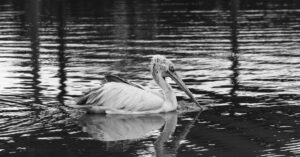 Hong-Kong-filmmaker-censorship