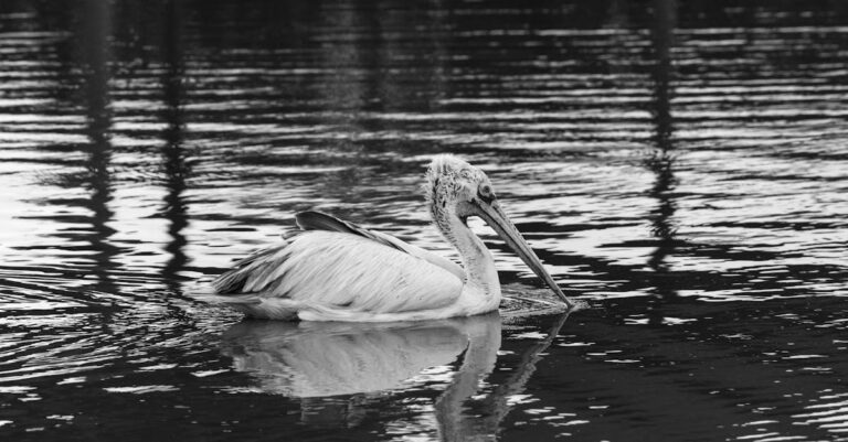 Hong-Kong-filmmaker-censorship