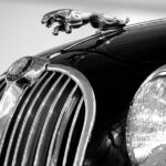 Jaguar-car-accident-pool