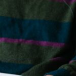 Jean-Luc-Melenchon-parliamentary-hearing