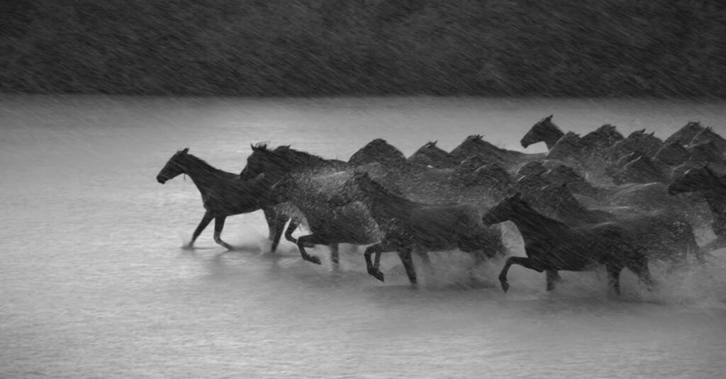 Macron-running-China