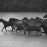 Macron-running-China