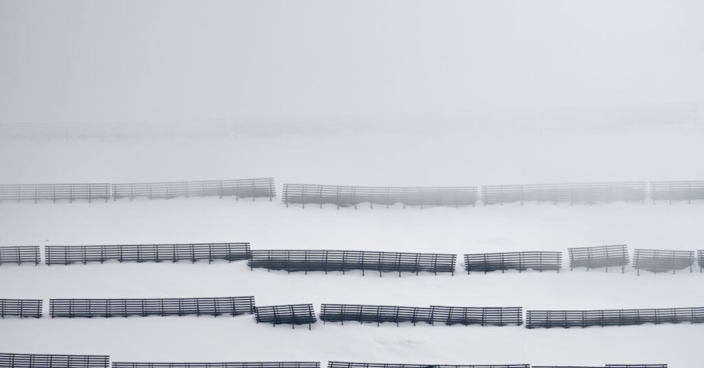 Orban-EU-assets-frozen