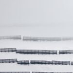 Orban-EU-assets-frozen