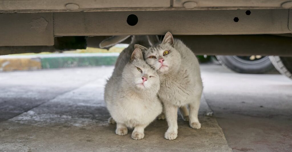 car-explosion-Moscow