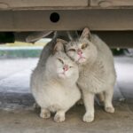 car-explosion-Moscow