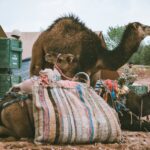 drones-military-base